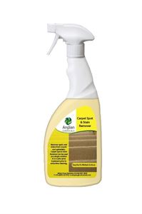 CARPET SPOT & STAIN REMOVER 750ML (1)