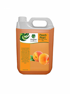 13318 PEACH HAND & BODY SOAP 5L (4)